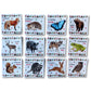 jeu de cartes mémoires mémory animaux de la forêt