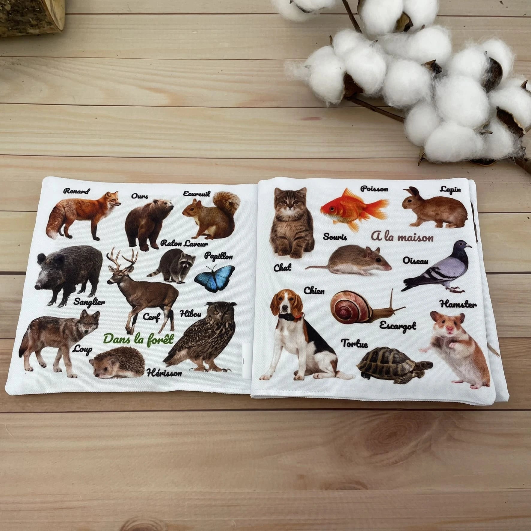 livre bébé imagier animaux foret