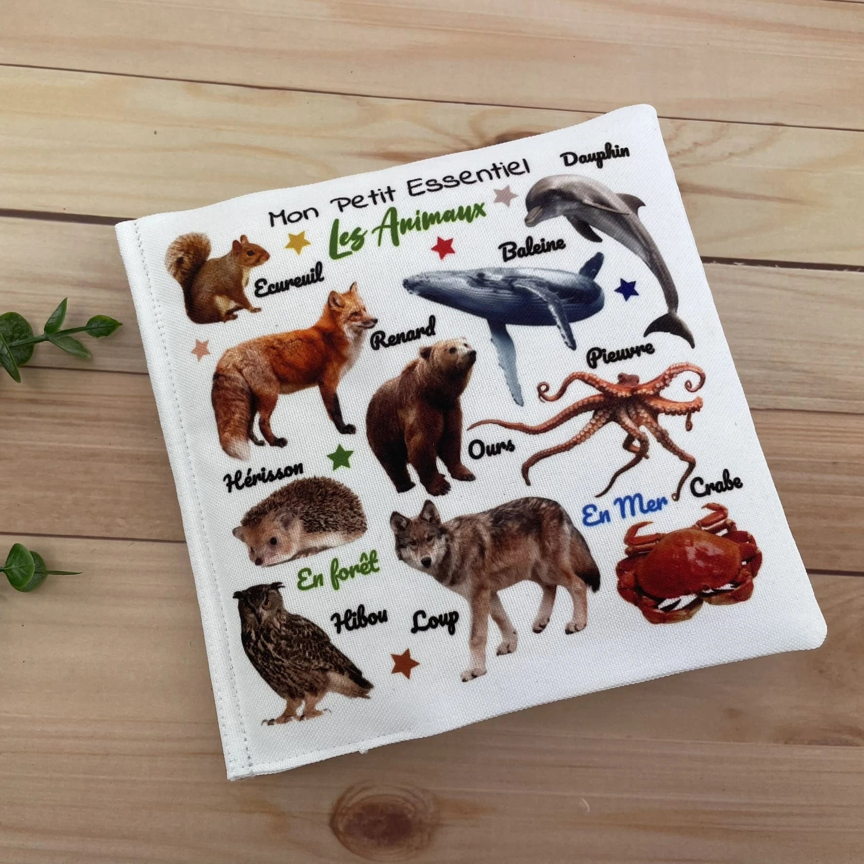 livre enfant animaux