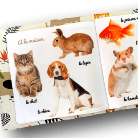 livre imagier bébé chien lapin chat poisson