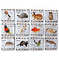 Jeu memory enfant animaux domestiques carte mémoire éducative